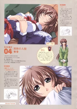 Page 13 of Natural 2 Duo Visual Fan Book