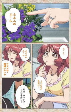 Page 19 of Aniyome wa Ijippari #01 Complete Ban