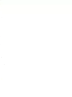 Page 2 of Jajauma ni nacchau!+ phamphlet