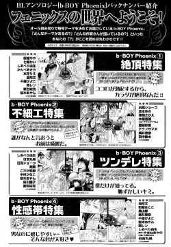 Page 232 of b-BOY Phoenix Vol.11 Shiroisha Tokushuu