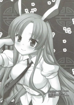 Page 17 of Touhou Ryoujoku 36 Udonge Dogezax