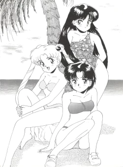 Page 17 of SAILOR MOON MATE 02 Ami