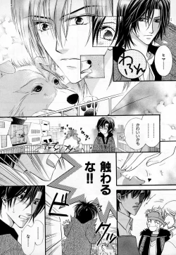 Page 205 of b-BOY Phoenix Vol.3 Tsundere Tokushuu