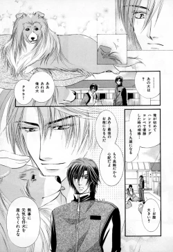 Page 216 of b-BOY Phoenix Vol.3 Tsundere Tokushuu