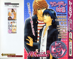 Download b-BOY Phoenix Vol.3 Tsundere Tokushuu