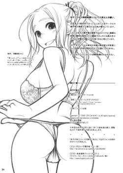 Page 33 of Sorako no Tabi 3