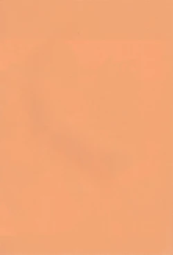 Page 2 of Koijikara Kazaguruma