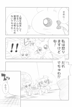 Page 5 of Conquest of the Planet of the Hams