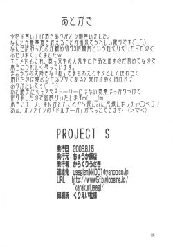 Page 26 of PROJECT S
