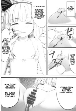 Page 30 of Youmumu Konpaku Youmu Suiminkan