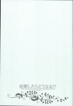 Page 5 of Kekkonshitara Dounaru!? 3