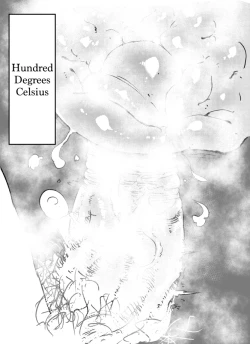 Page 14 of The Weeny Corrections Manual