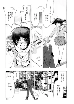 Page 113 of Free as a Bird