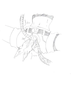 Page 24 of Atataka na Chitsu no Naka no Soushitsu