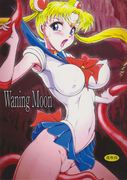 Download Waning Moon