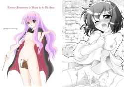 Page 11 of Zero no Taneuma