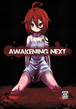 Download AWAKENING NEXT