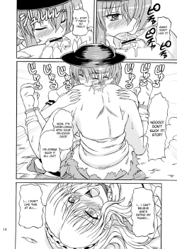 Page 14 of Touhou Youjo Ranbu 9
