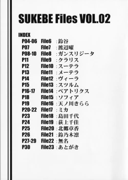 Page 2 of SUKEBE Files VOL.02