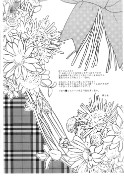 Page 2 of RUBBER CHARGER