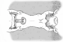 Page 129 of Mama Shot-ime Outdoor Hen