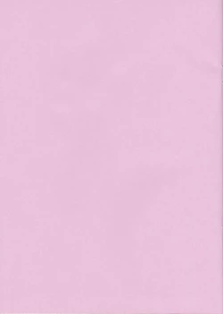 Page 19 of Souda AB no Onnanoko ni Bloomers o Hakasete Miyou