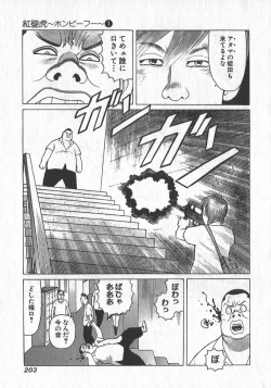 Page 204 of HonFu Vol.1