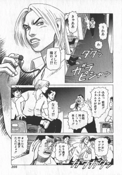 Page 206 of HonFu Vol.1