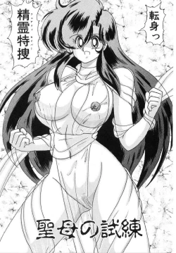 Page 272 of Seirei Tokusou Fairy Saber