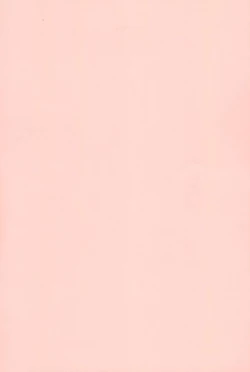 Page 31 of P.P.Plan 4