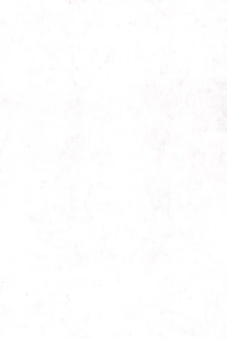 Page 3 of P.P.Plan 4