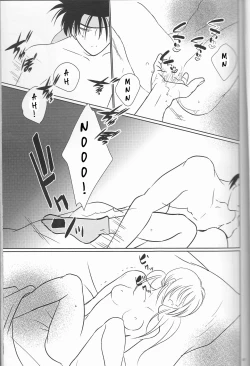 Page 37 of Hime Ken Ryouran | Princess Sword Profusion