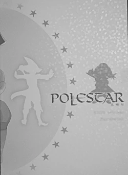 Page 32 of Polestar