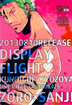 Download DISPLAY FLIGHT