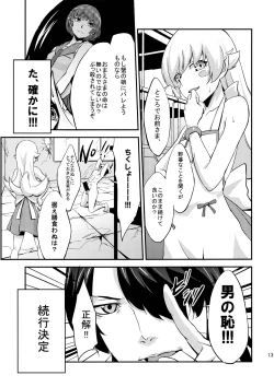 Page 13 of Siccative85