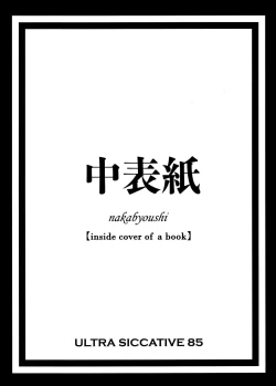 Page 3 of Siccative85