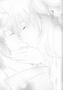 Page 31 of Dimorphotheca