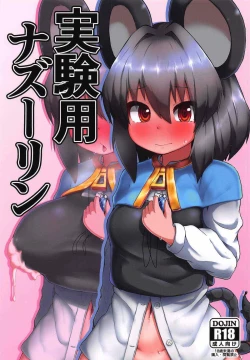 Page 1 of Jikkenyou Nazrin