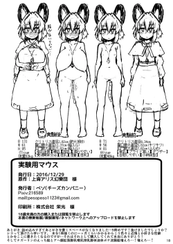 Page 17 of Jikkenyou Nazrin