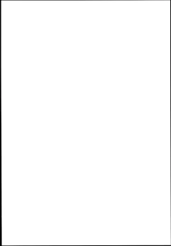 Page 2 of Onigashima no Hanei