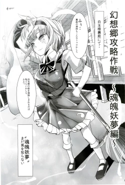 Page 63 of Gensoukyo Kouryaku Sakusen Soushuuhen