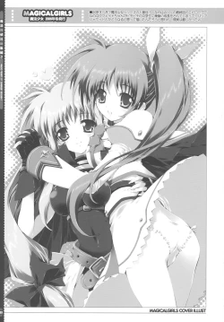 Page 49 of SUMMARY VERSION 2