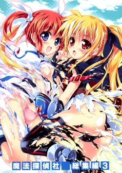 Page 2 of SUMMARY VERSION 3