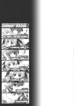 Page 3 of SUMMARY VERSION 3