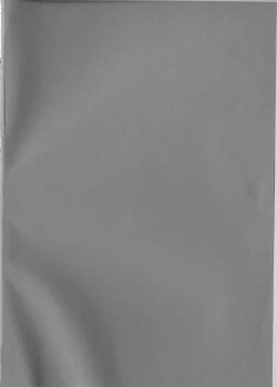 Page 4 of Pink Sugar 20th Anniversary Special