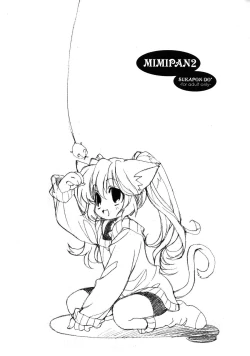 Page 16 of MIMIPAN2