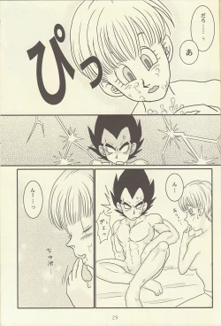 Page 30 of maitenence 2