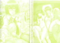 Page 4 of Inai Laboratory