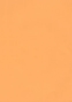 Page 2 of Anzu Kaichou ni Kokuhaku Shite Mita After