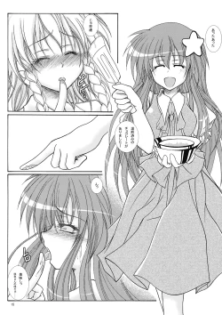 Page 14 of Dokidoki Maid Shinpan